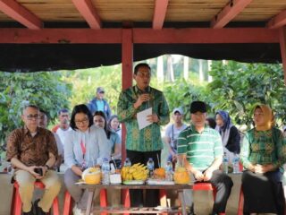 Kakao dan Gula Aren Kotamobagu Dilirik Pasar Ekspor Jepang dan Tiongkok