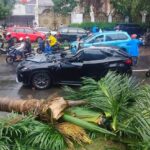 Pohon Tumbang di Pondok Indah Tewaskan Satu Orang