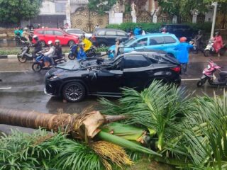 Pohon Tumbang di Pondok Indah Tewaskan Satu Orang