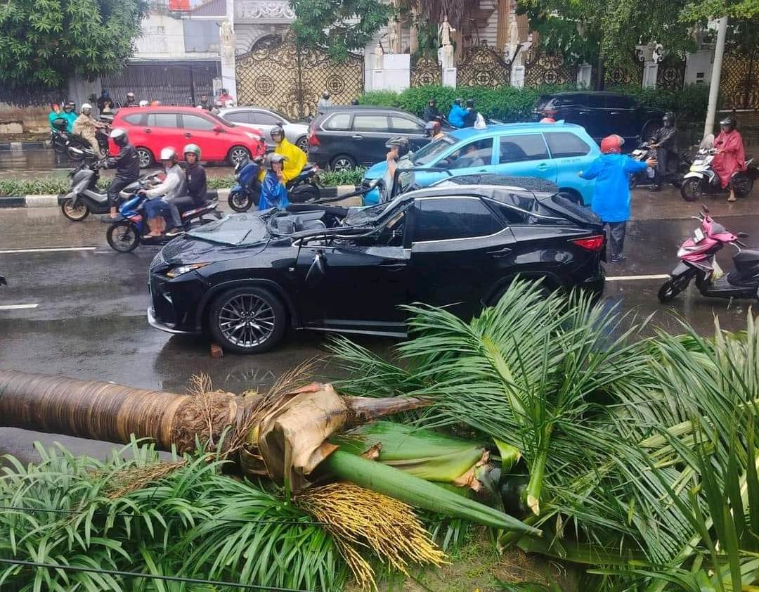 Pohon Tumbang di Pondok Indah Tewaskan Satu Orang