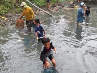 Tradisi Ngubek Srumbung di Gresik, Warga Bulangan Berebut Ikan dan Hadiah Uang Tunai