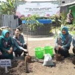 Arumi Bachsin Buka Kegiatan Petik Hasil Kampung Aku Hatinya PKK