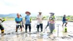 Gubernur Yulius Tanam Padi di Bolmong
