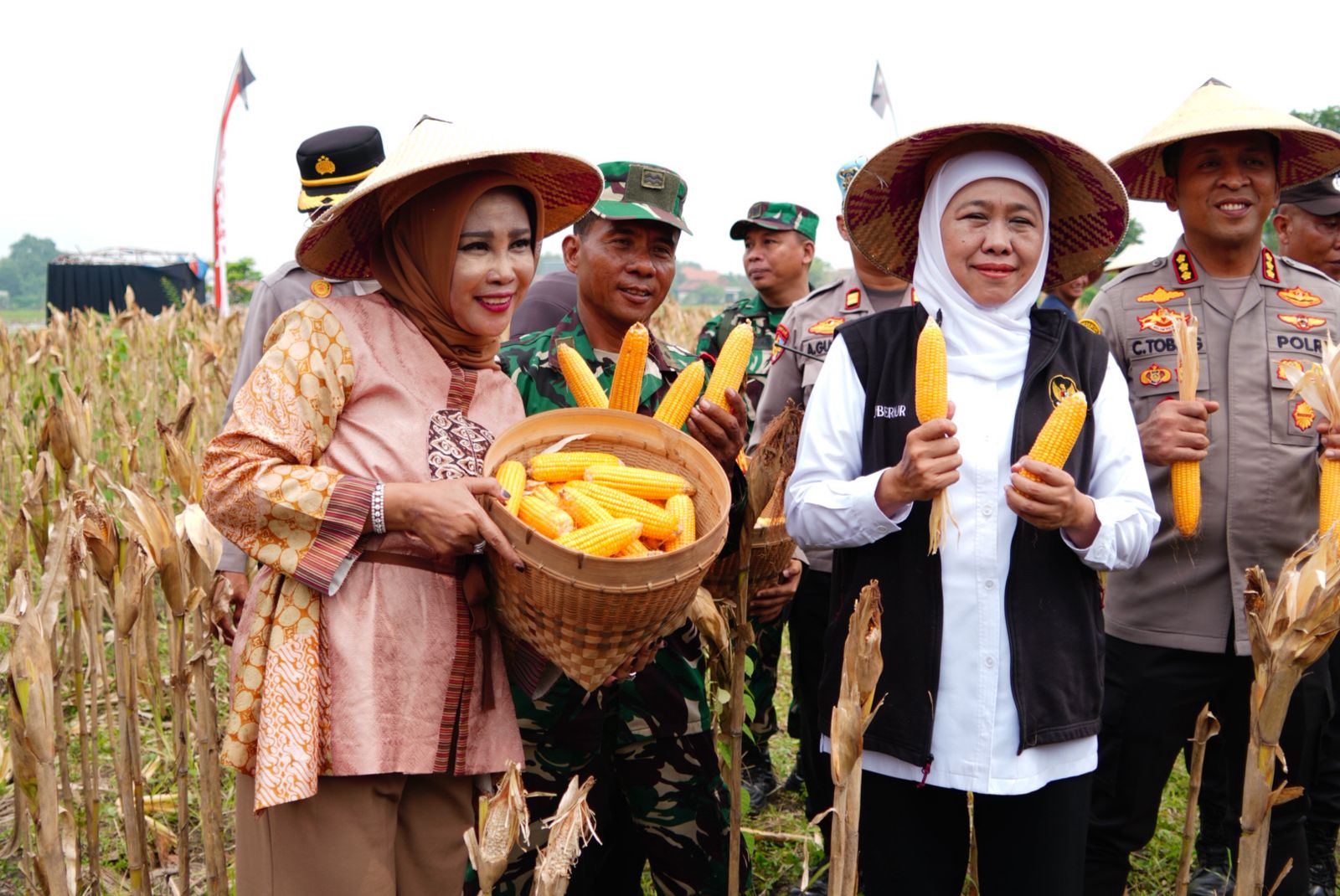 Panen Raya Jagung di Kedensari, Sidoarjo Perkuat Ketahanan Pangan Nasional