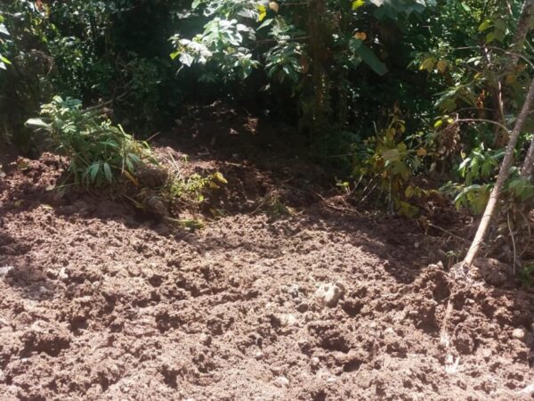 Warga Mopait Protes, PT BDL Pindahkan Sisa Material Longsor ke Lahan Perkebunan