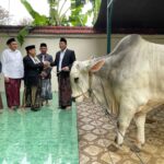 Bupati Sidoarjo Serahkan Hewan Kurban 800 Kilogram di Masjid Agung, Bantuan Presiden Dialihkan ke Jabon