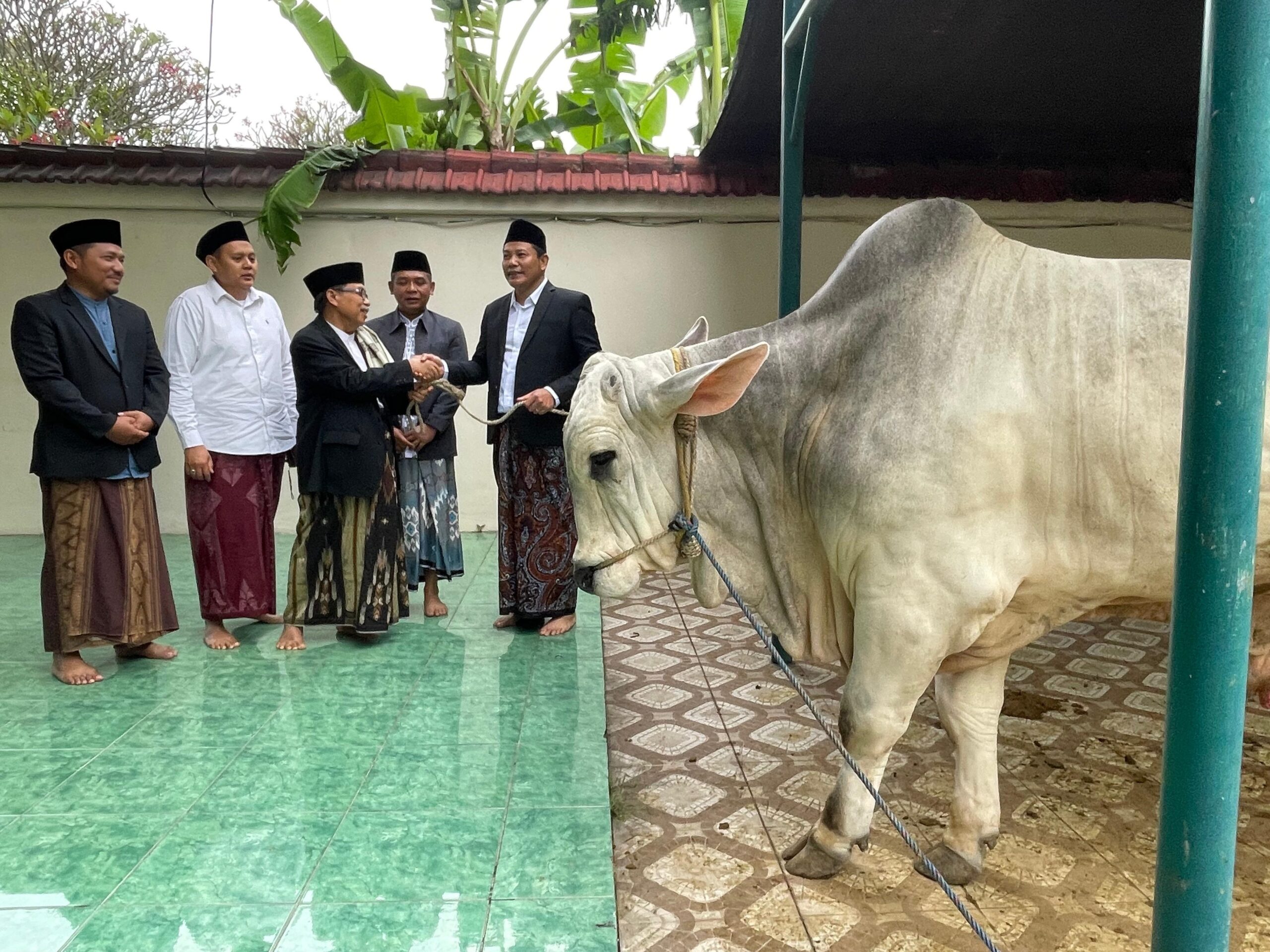 Bupati Sidoarjo Serahkan Hewan Kurban 800 Kilogram di Masjid Agung, Bantuan Presiden Dialihkan ke Jabon