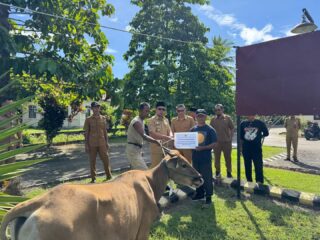 Idul Adha 1447 H, Pemkab Boltara Distribusikan Hewan Kurban untuk Masyarakat