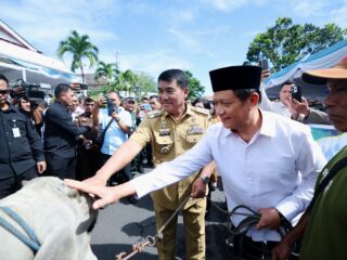 Jelang Idul Adha, Pemprov Sulut Salurkan 46 Ekor Sapi Kurban 