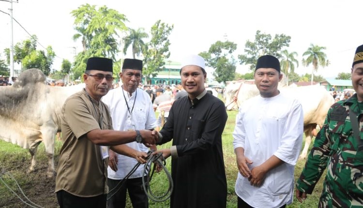 Wawali Kotamobagu Salurkan 4 Ekor Sapi Kurban untuk Warga Motoboi Kecil