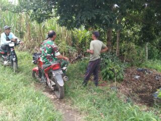 Babinsa Ketol Bahas Hama Cabai Bersama Warga