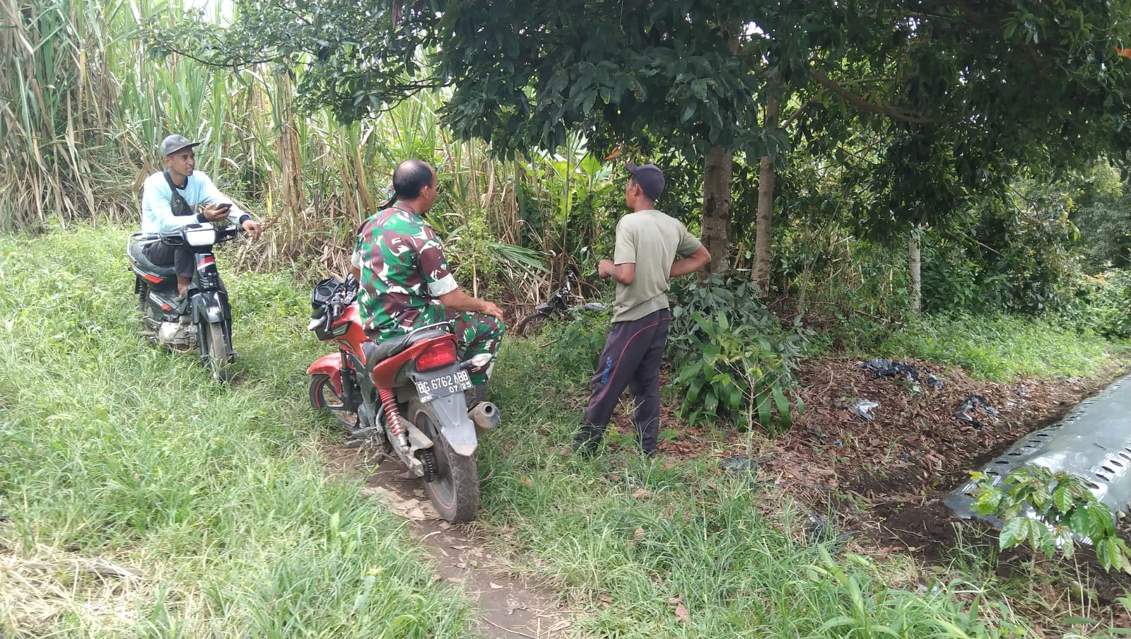 Babinsa Ketol Bahas Hama Cabai Bersama Warga
