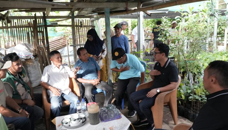 Wawali Rendy Mangkat Dorong Regenerasi Petani Muda Lewat Pelatihan Kakao