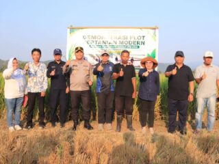 Boltara Jadi Percontohan PM-AAS di Sulut, Bupati Tinjau Panen Padi IPB 9G