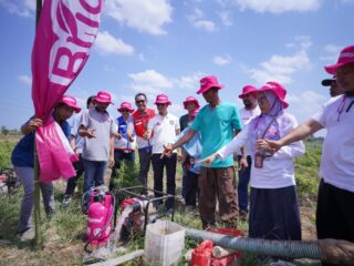 Pertamina Luncurkan Bright Gas untuk Petani di Gowa, Hadirkan Energi Alternatif bagi Pompa Irigasi
