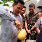 Bupati Subandi Resmikan Wisata Petik Melon BUMDes Candinegoro