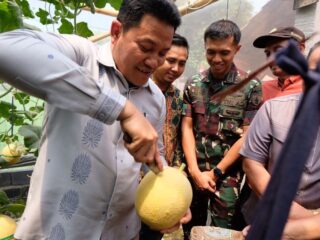 Bupati Subandi Resmikan Wisata Petik Melon BUMDes Candinegoro