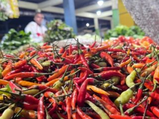 Tekan Inflasi, Pemprov Sulut Datangkan Cabai dari Probolinggo