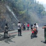 Gerak Cepat! Polsek Lolayan Bersama TNI dan Damkar Padamkan Kebakaran Lahan di Desa Tungoi 