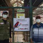 Pertamina Perkuat Konservasi Burung Nuri Talaud Lewat Edukasi dan Program Breeding di Bitung