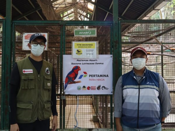 Pertamina Perkuat Konservasi Burung Nuri Talaud Lewat Edukasi dan Program Breeding di Bitung